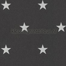 Glitter sterren antraciet wit wallcovering AS Creation sale wallcovering 