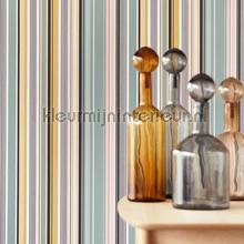 wallcovering Stripes Plus