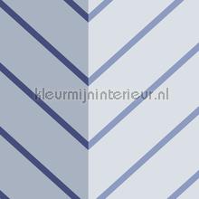 Grote visgraat multi streep behang Eijffinger Stripes Plus 377142