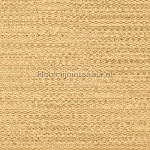 Suit 33 Gold papier peint suit-33 DWC