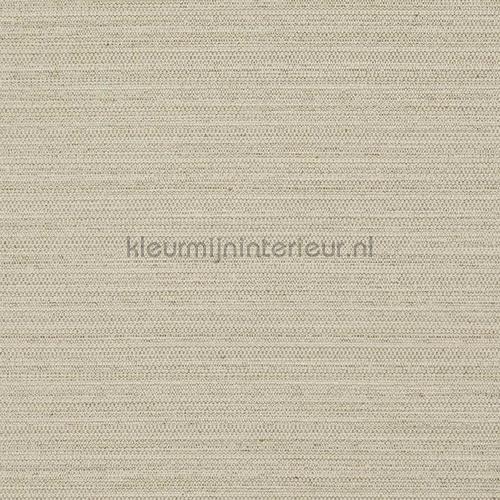 Suit 56 Soft beige carta da parati suit-56 speciale DWC