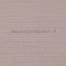 Suit 57 Light brown behaang suit-57 exklusief behaang DWC