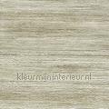 Seta en toute simplicite wallcovering VP 850 08 Talamone Elitis