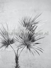 99871 fotomurales Eijffinger Terra 391567