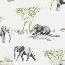 Olifanten aquarel schets wallcovering Behang Expresse Thomas 27144