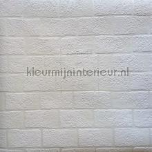 Overschilderbaar behang baksteen papel de parede Behang Expresse quadrado 