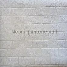 Overschilderbaar behang baksteen wallcovering Behang Expresse Thomas 79001