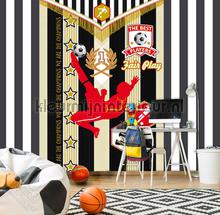 Profvoetballer wallcovering Behang Expresse Thomas ink7097