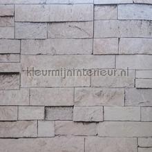 84201 wallcovering Behang Expresse Thomas th27115