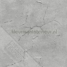 Gescheurde muren wallcovering Behang Expresse Thomas th27119