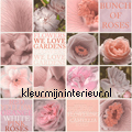 We love roses behang Rasch behang 