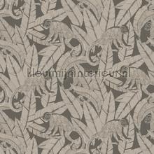 monkey wallcovering Khroma Tribute tri002