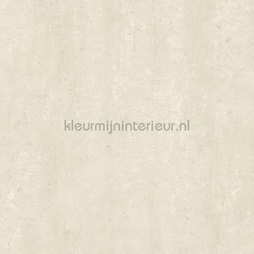 Plain behang 13925 beton Hookedonwalls