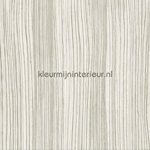 Nature woodlook grey tapet 342-347236 Urban Funky Origin