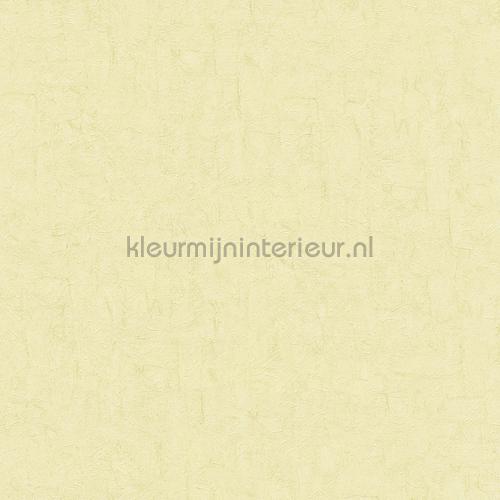 Uni met textuur van penseelstreken papier peint 220078 Van Gogh II BN Wallcoverings