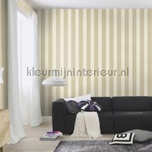 Luxe rustieke uni wallcovering 802917 Via Trento Rasch