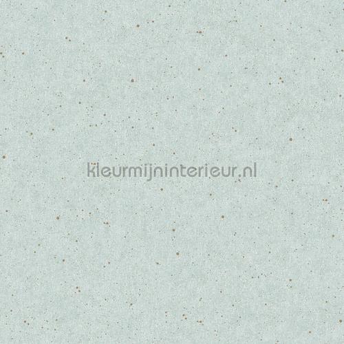 Dromerige spatjes wallcovering 384523 Trendy Eijffinger