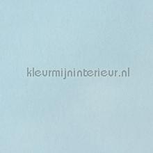 Vliesaanbieding Mint behaang 1639-61-09 bekant vur niks Casadeco