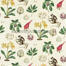 Capuchins wallcovering Sanderson Voyage of Discovery 223272