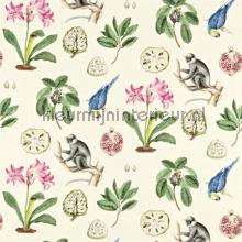 Capuchins cortinas Sanderson quadrado 