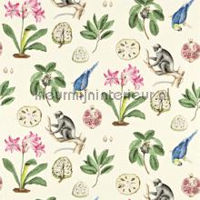 Capuchins wallcovering Sanderson Voyage of Discovery 223273