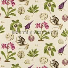 Capuchins wallcovering Sanderson Voyage of Discovery 223274