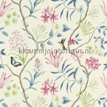Clementine cortinas Sanderson quadrado 