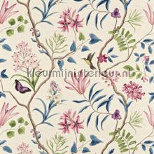 Clementine cortinas Sanderson quadrado 