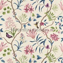 Clementine wallcovering Sanderson Voyage of Discovery 223297