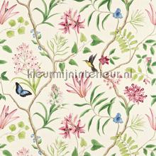 Clementine cortinas Sanderson quadrado 