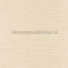 91017 tapet Caselio Wara WARA69581350