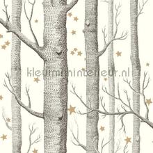 Woods & Stars wallcovering Cole and Son wood 