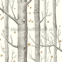 Woods & Stars tapeten Cole and Son uni farben 
