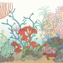 Archipelago Border tapeten Cole and Son weltraum 