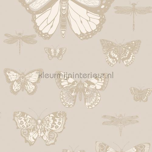 Butterflies & Dragonflies tapet 103-15064 Sommerfugle - Fugle Cole and Son