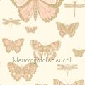 Butterflies & Dragonflies tapet 103-15066 Sommerfugle - Fugle Temaer