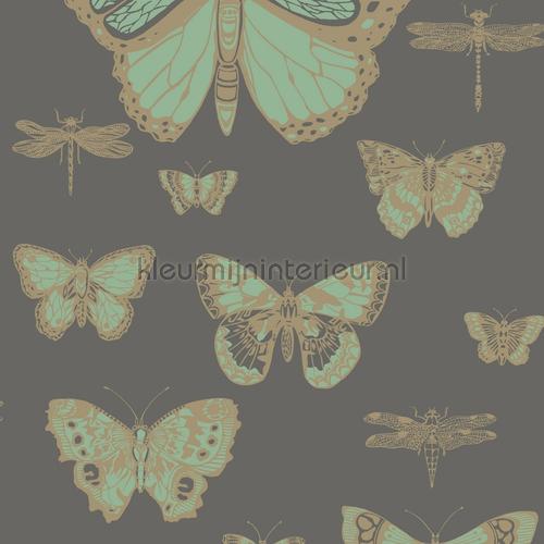 Butterflies & Dragonflies tapet 103-15067 Sommerfugle - Fugle Cole and Son