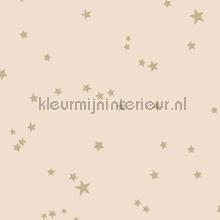 Stars tapeten Cole and Son uni farben 