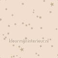 Stars papel de parede 103-3015 estrelas Motivos