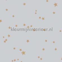 Stars tapeten Cole and Son uni farben 