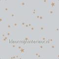 Stars papel de parede 103-3016 estrelas Motivos