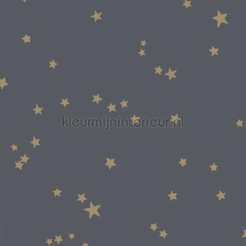 Stars papel de parede 103-3017 estrelas Cole and Son