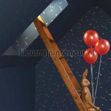 Stars papel de parede 103-3017 estrelas Cole and Son