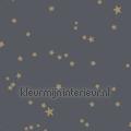 Stars papel pintado 103-3017 Whimsical Cole and son