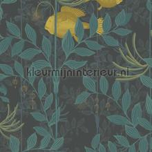 Nautilus tapeten Cole and Son weltraum 