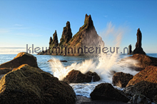 Reef fototapeten AS Creation XXL Wallpaper 2 470-312