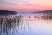 Lake Calm fototapeten AS Creation XXL Wallpaper 2 470-313