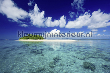 South Sea Island fottobehaang AS Creation XXL Wallpaper 2 470-330