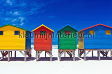 Colourful Houses fottobehaang AS Creation XXL Wallpaper 2 470-339