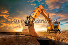 Yellow Digger fototapeten AS Creation XXL Wallpaper 2 470-348